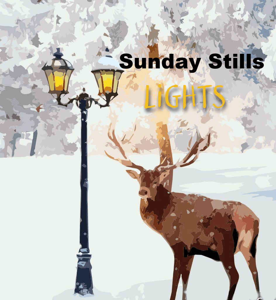 Sunday Stills: Holiday #Lights and&nbsp;Beyond
