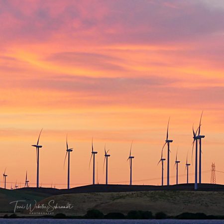 lenticular clouds over delta