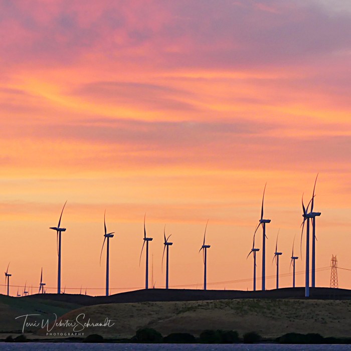 lenticular clouds over delta