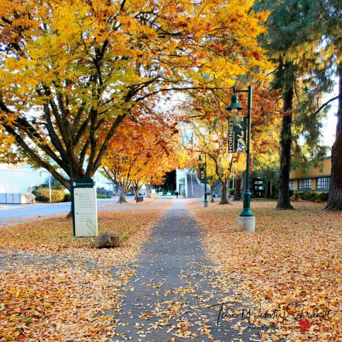 Sacramento State University