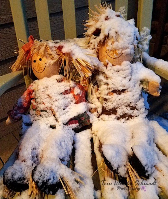 Too early for fallen snow