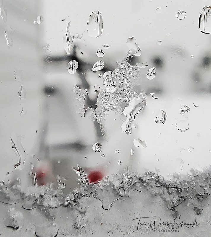 Sunday Stills: A #White-Washed&nbsp;World