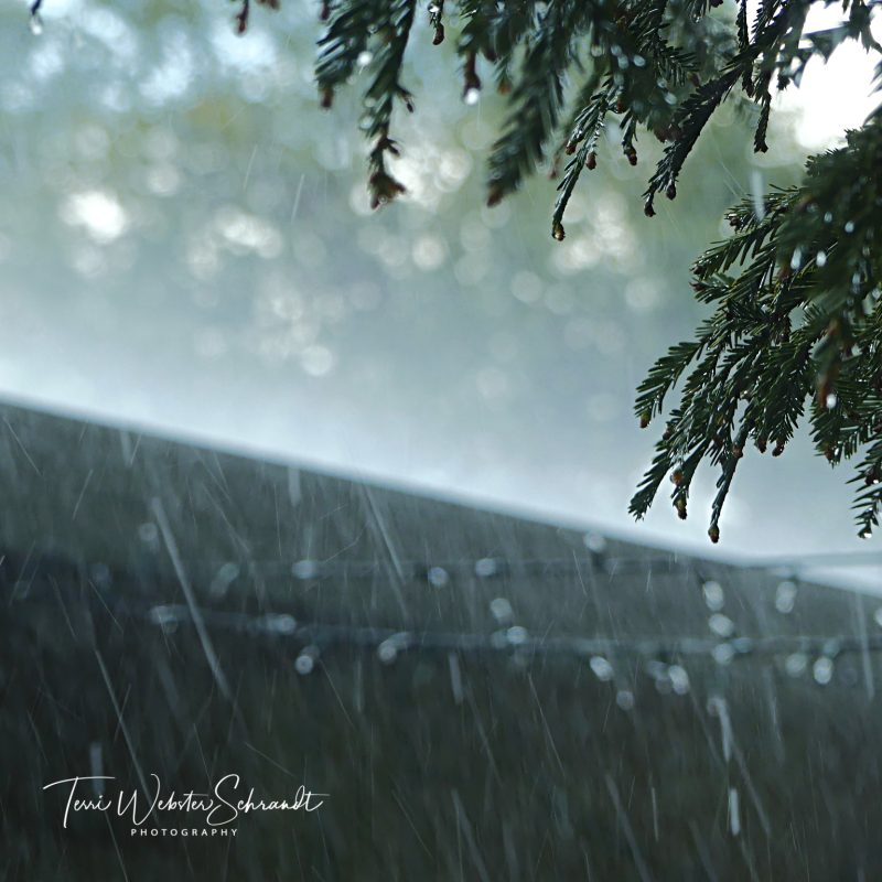 Sunday Stills: #Rain, Rain…Another&nbsp;Day