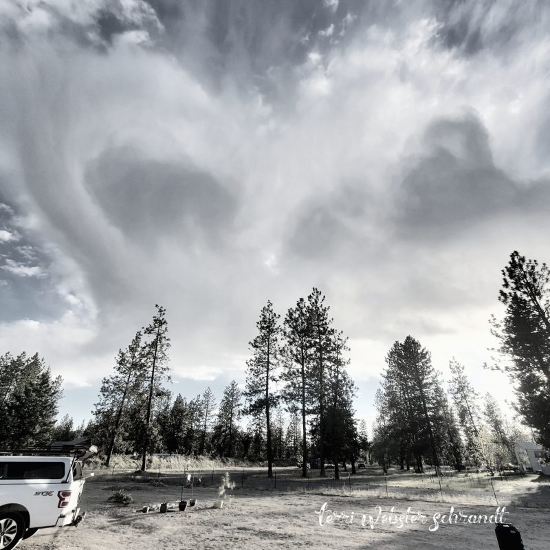 Sunday Stills: #Weathering&nbsp;Memories
