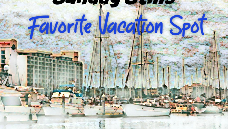 Sunday Still banner vacation