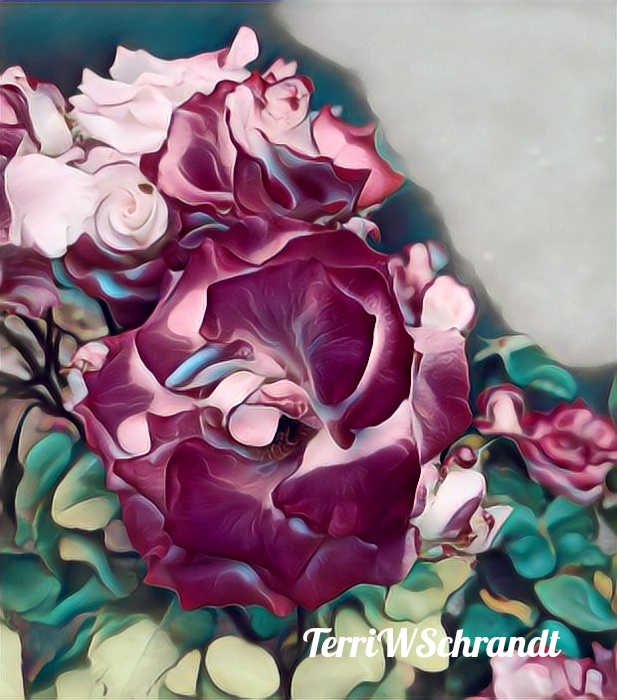 Sunday Stills Color Challenge: A Portland Summer in&nbsp;#Pink