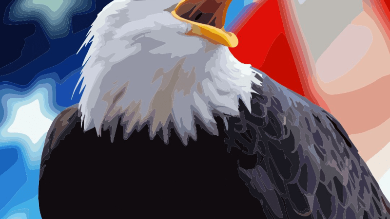 Color Planet Bald Eagle 4th of July