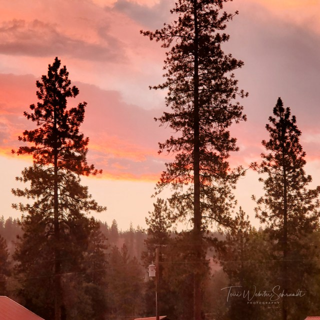 Colorful dawn in the mountains