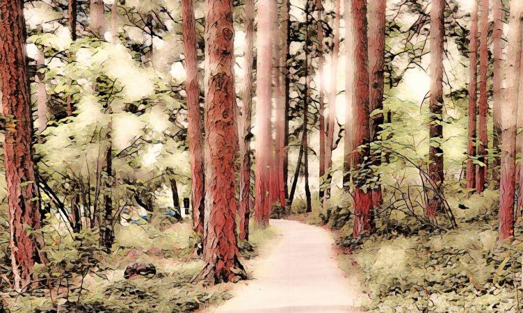 Painnt Filter Forest