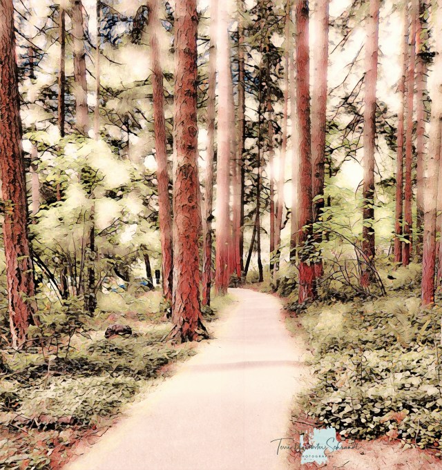 Painnt Filter Forest