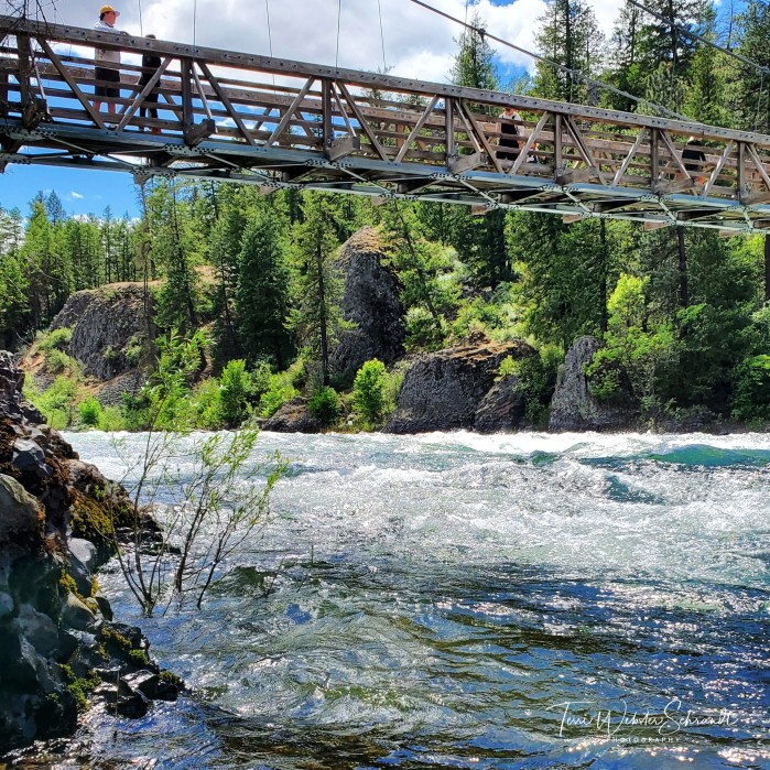 Suspension Bridge at Bowl and Pitcher