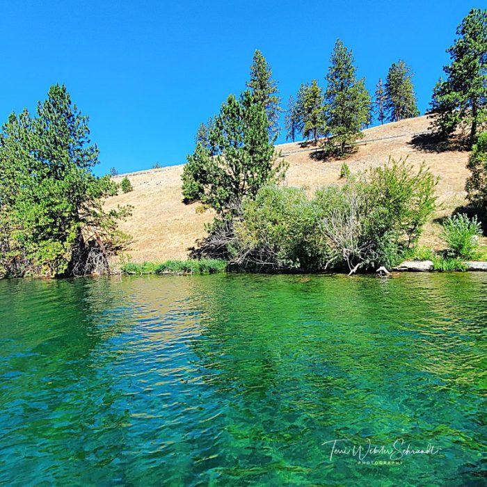 Evergreen waters of Long Lake, WA