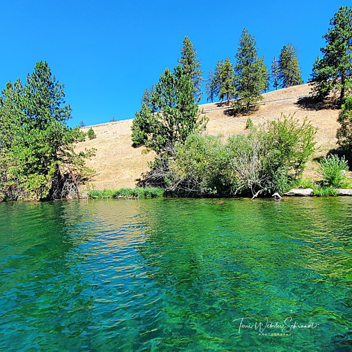 Evergreen waters of Long Lake, WA
