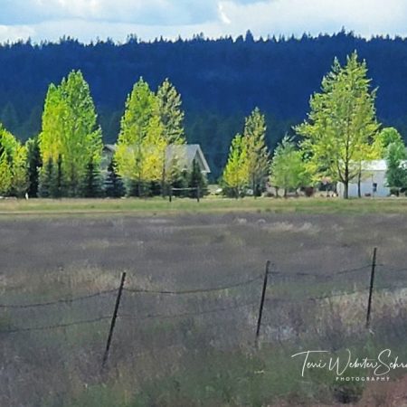 Spokane Mountain Views