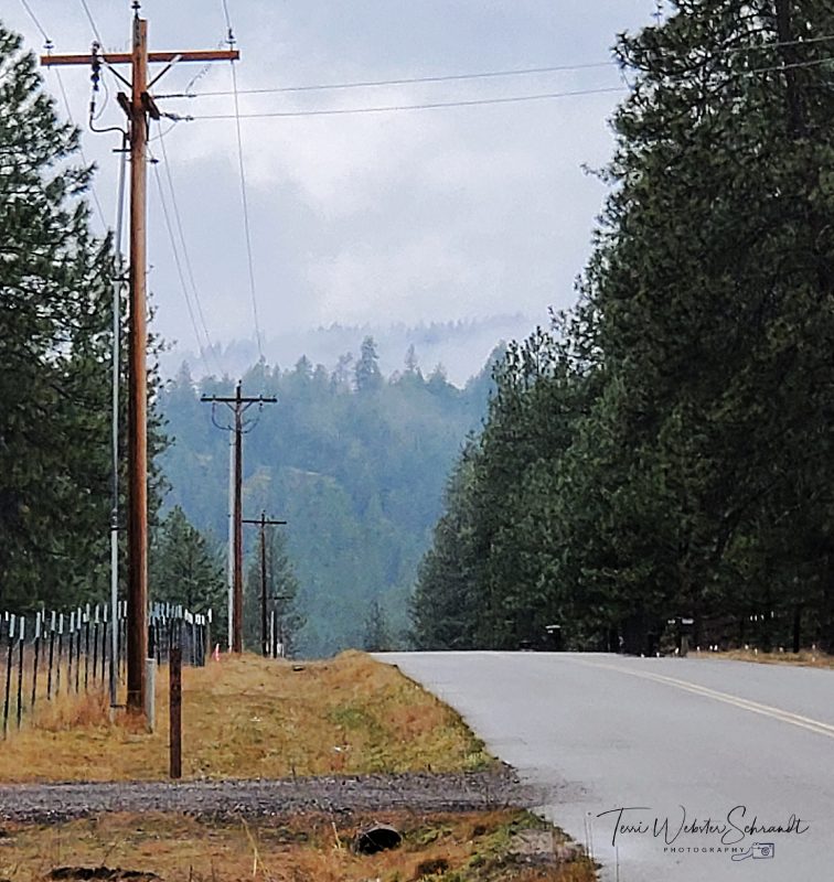 Wordless Wednesday: Photo-Elements from the&nbsp;Road