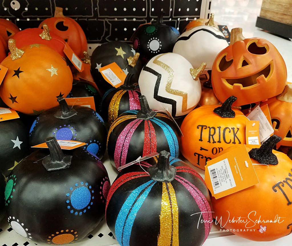 Retail pumpkins signs of autumn