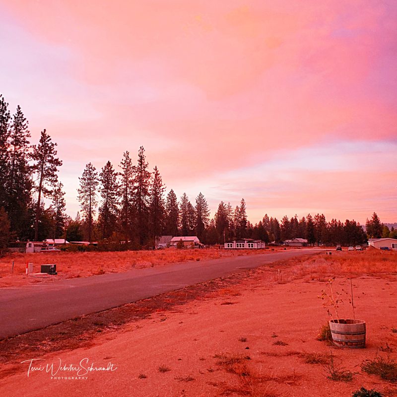 Sunday Stills: The #Pink Side of&nbsp;October