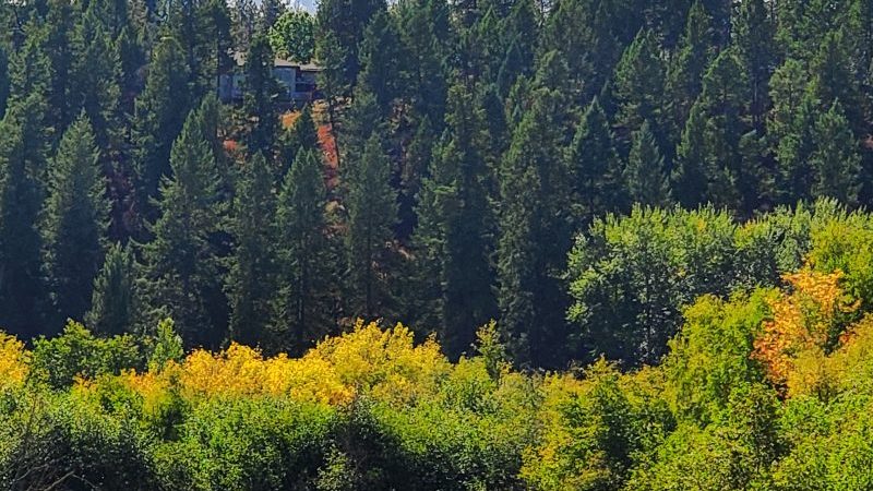 Little Spokane River nature Trail