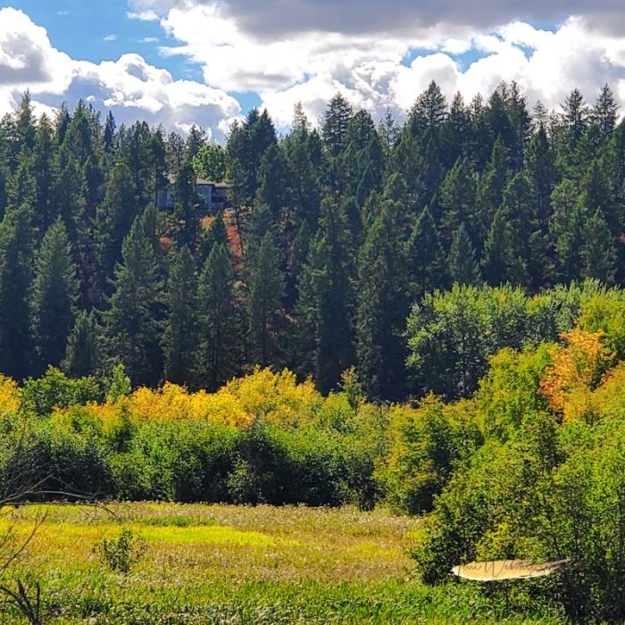 Little Spokane River nature Trail
