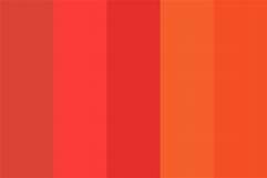 Burnt or Blood Orange Pallet