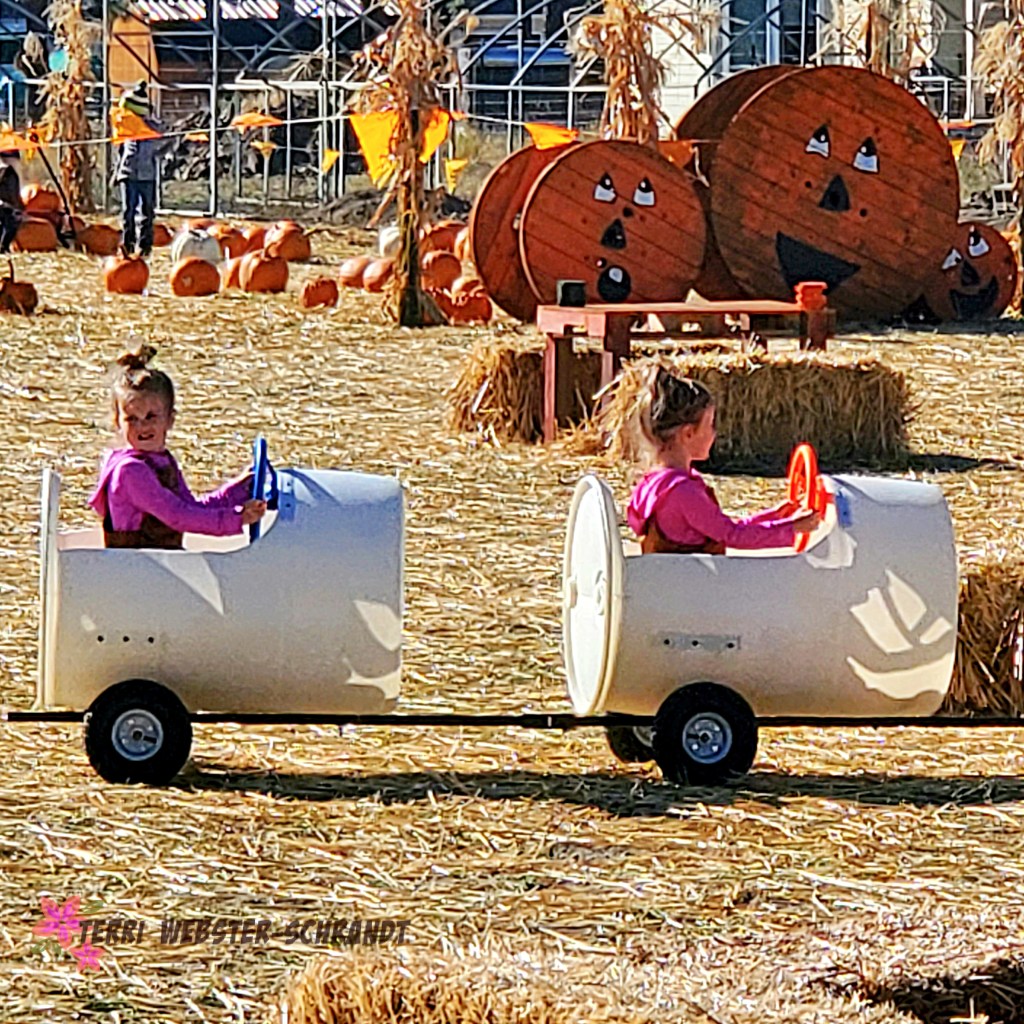 farm girls love pink