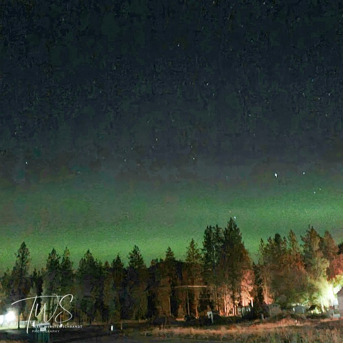 Aurora Borealis from my porch