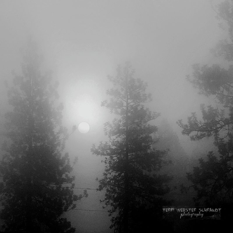 Sunday Stills: #Eerie Sights and&nbsp;Sounds