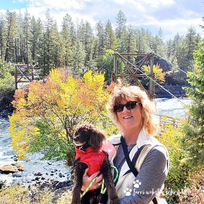 autumn leaves with woman and dog