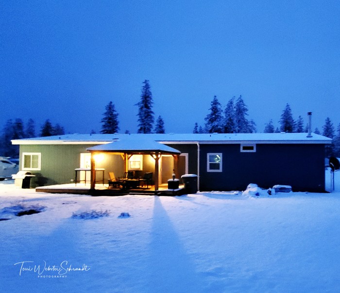 Cozy house in first snow