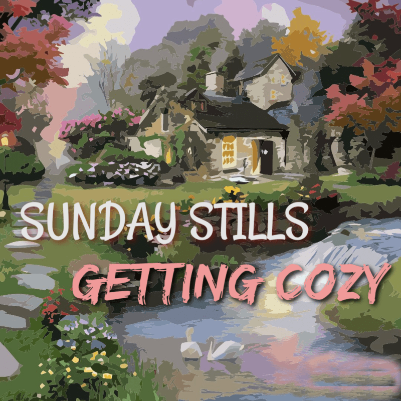 Sunday Stills: Getting&nbsp;#Cozy