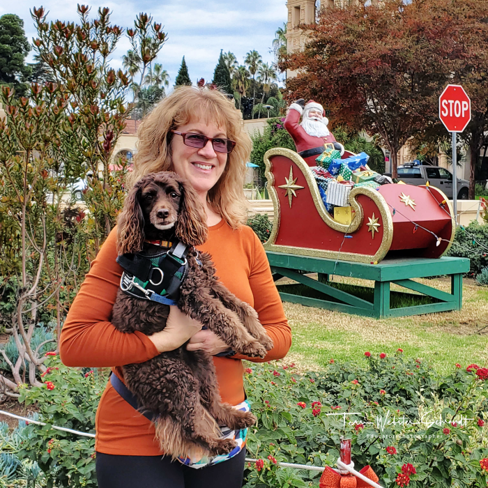 Holiday Display Balboa Park, San Diego
