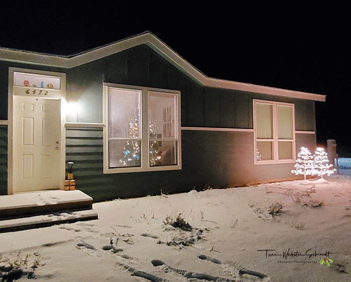 Lighting the night from within and out doors