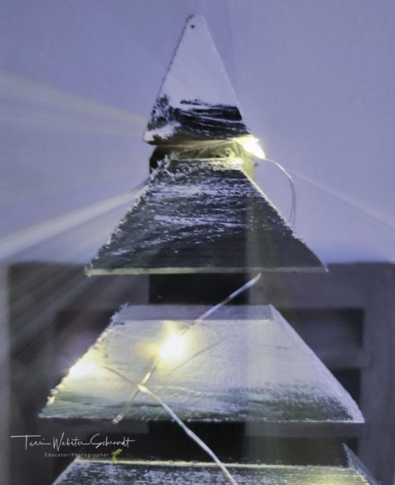 Lights on Wooden Tree