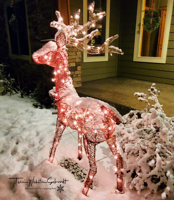 Happy New Deer! And a Note About Sunday&nbsp;Stills