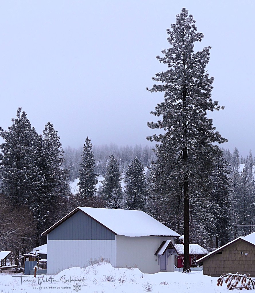 winter mountain view