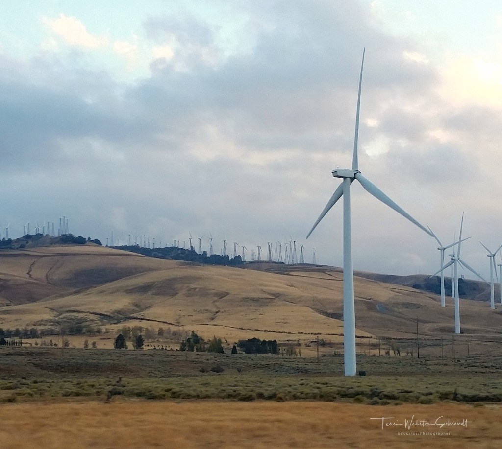 Wind Turbines near Tehachapee, CA