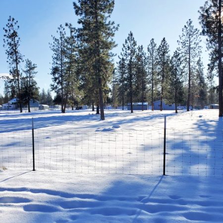 Winter Wonderland neighborhood view