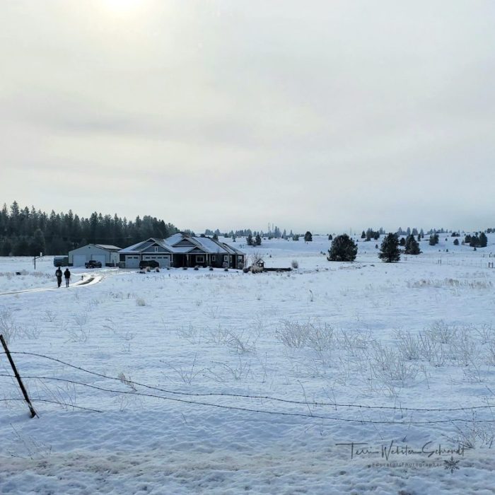 Life in a Washington Winter