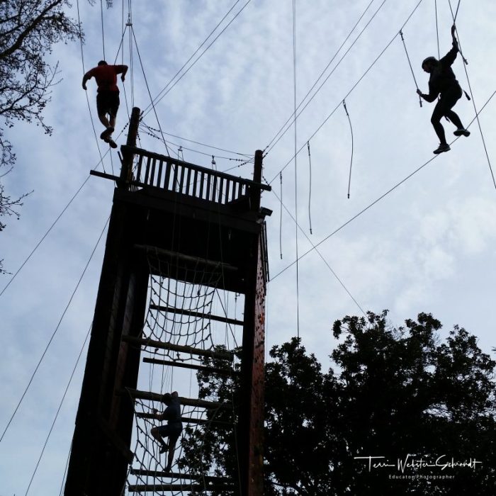 University students climb the Challenge Ropes Course