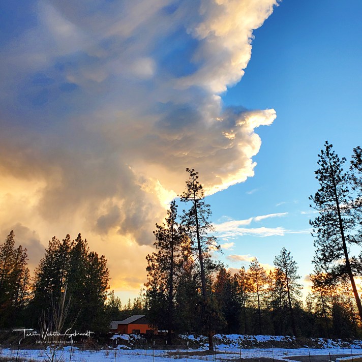 Beginnings of a winter storm