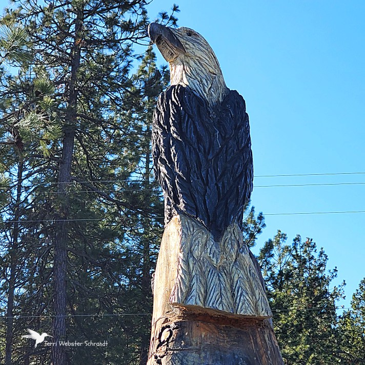 Bald Eagle Wood Carving
