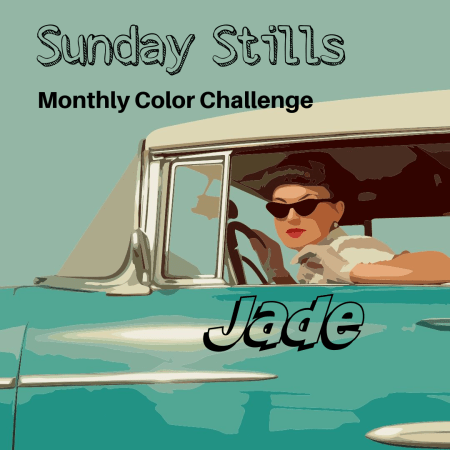 Sunday Stills Banner