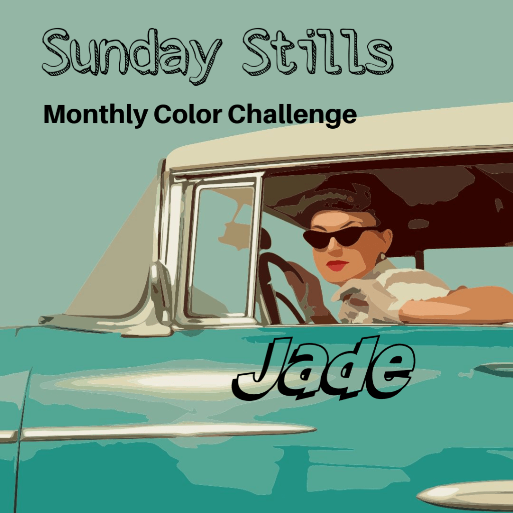 Sunday Stills Monthly Color Challenge: Not Too&nbsp;#Jaded