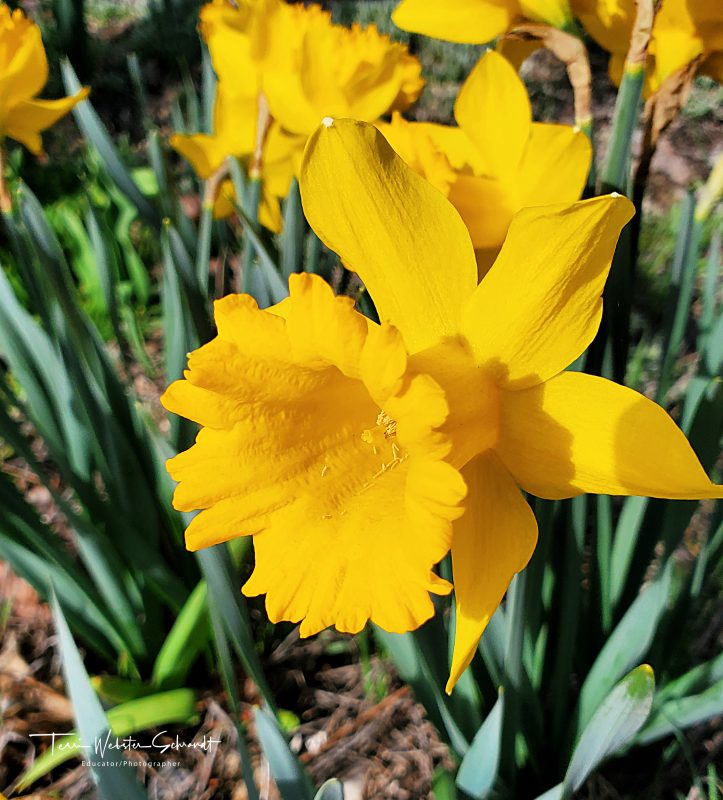Wordless Wednesday: When We Grow&nbsp;Up…