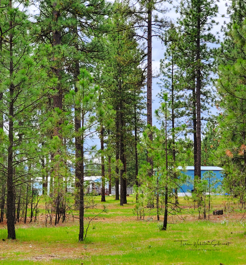 neighborhood blue buildings