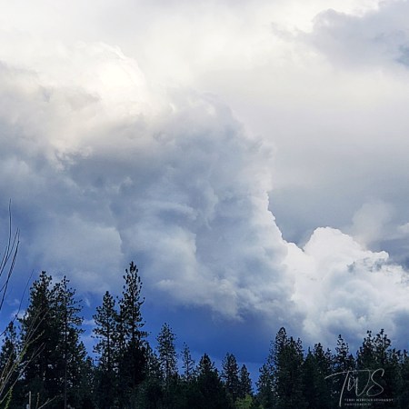 cumulonimbus calvas cloud