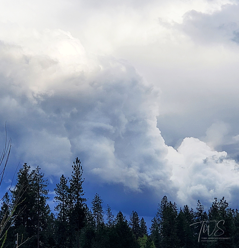 Wordless Wednesday: #Stormy&nbsp;Skies