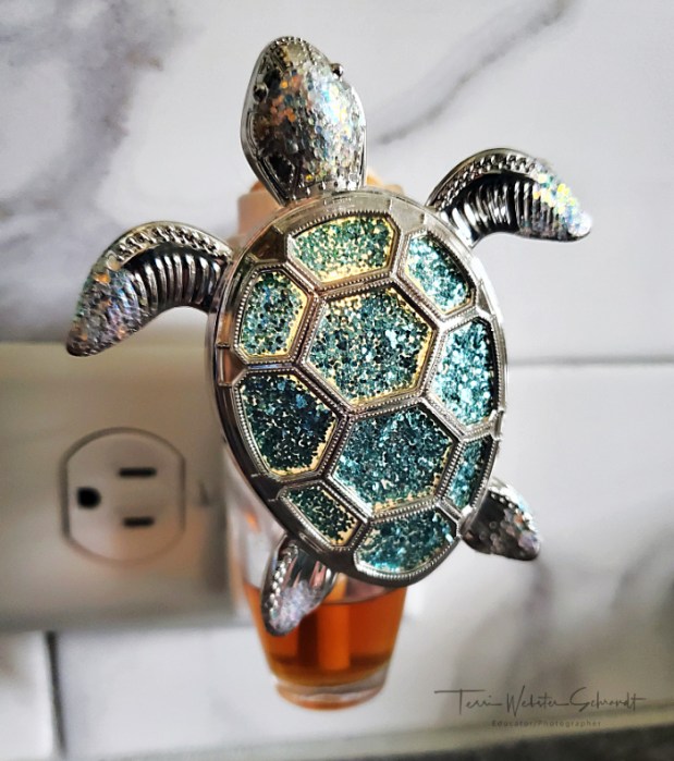 Wallflower Scent Turtle