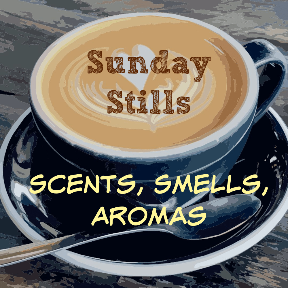 Sunday Stills: What is That&nbsp;#Aroma?