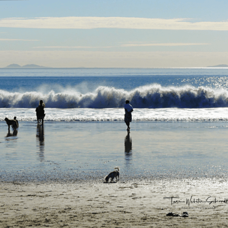 Winter Ocean Views in Coronado